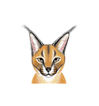 リアル寄りの動物イラスト＋文字・飾り（個別スタンプ：10）