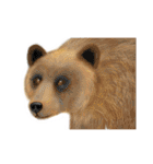 リアル寄りの動物イラスト＋文字・飾り（個別スタンプ：11）