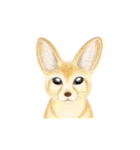 リアル寄りの動物イラスト＋文字・飾り（個別スタンプ：13）