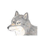 リアル寄りの動物イラスト＋文字・飾り（個別スタンプ：17）