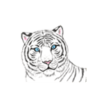 リアル寄りの動物イラスト＋文字・飾り（個別スタンプ：19）
