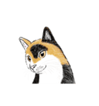 リアル寄りの動物イラスト＋文字・飾り（個別スタンプ：20）