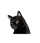 リアル寄りの動物イラスト＋文字・飾り（個別スタンプ：21）