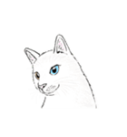 リアル寄りの動物イラスト＋文字・飾り（個別スタンプ：22）