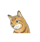 リアル寄りの動物イラスト＋文字・飾り（個別スタンプ：23）