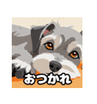 ミニチュアシュナのほのぼのスタンプ（個別スタンプ：28）