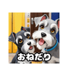 ミニチュアシュナのほのぼのスタンプ（個別スタンプ：29）