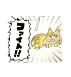 石巻ニャンコ協会スタッフスタンプ！（個別スタンプ：1）