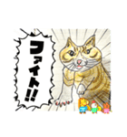 石巻ニャンコ協会スタッフスタンプ！（個別スタンプ：7）
