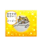 石巻ニャンコ協会スタッフスタンプ！（個別スタンプ：14）