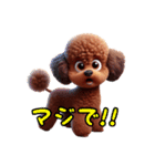 トイプードル可愛いなぁ（個別スタンプ：11）
