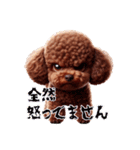 トイプードル可愛いなぁ（個別スタンプ：35）