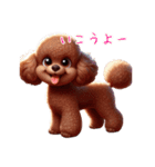 トイプードル可愛いなぁ（個別スタンプ：39）
