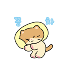 moving lazycat（個別スタンプ：3）