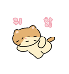 moving lazycat（個別スタンプ：4）