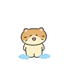 moving lazycat（個別スタンプ：9）