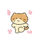 moving lazycat（個別スタンプ：13）