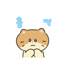 moving lazycat（個別スタンプ：17）