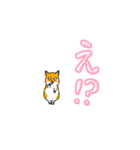 可愛いあざといシャフハムちゃん（個別スタンプ：16）
