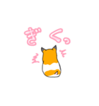可愛いあざといシャフハムちゃん（個別スタンプ：19）