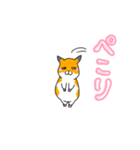 可愛いあざといシャフハムちゃん（個別スタンプ：39）