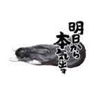 うさぎ の ルナちゃん（個別スタンプ：8）