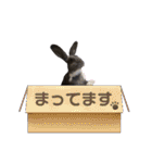 うさぎ の ルナちゃん（個別スタンプ：10）