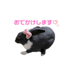 うさぎ の ルナちゃん（個別スタンプ：11）
