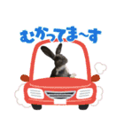 うさぎ の ルナちゃん（個別スタンプ：14）