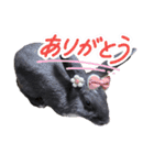 うさぎ の ルナちゃん（個別スタンプ：16）