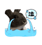 うさぎ の ルナちゃん（個別スタンプ：20）
