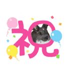 うさぎ の ルナちゃん（個別スタンプ：22）