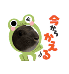 うさぎ の ルナちゃん（個別スタンプ：29）