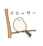 もふアニマル(シマエナガver.)（個別スタンプ：1）