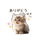 毎日のふわふわ子猫【日常・敬語】（個別スタンプ：1）