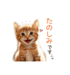 毎日のふわふわ子猫【日常・敬語】（個別スタンプ：2）