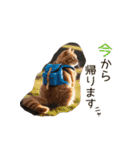 毎日のふわふわ子猫【日常・敬語】（個別スタンプ：4）