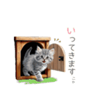 毎日のふわふわ子猫【日常・敬語】（個別スタンプ：6）