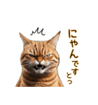 毎日のふわふわ子猫【日常・敬語】（個別スタンプ：10）