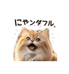 毎日のふわふわ子猫【日常・敬語】（個別スタンプ：11）