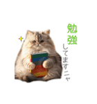 毎日のふわふわ子猫【日常・敬語】（個別スタンプ：12）