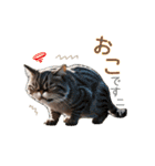 毎日のふわふわ子猫【日常・敬語】（個別スタンプ：13）