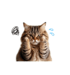 毎日のふわふわ子猫【日常・敬語】（個別スタンプ：14）