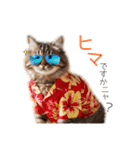 毎日のふわふわ子猫【日常・敬語】（個別スタンプ：16）