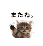 毎日のふわふわ子猫【日常・敬語】（個別スタンプ：19）
