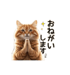 毎日のふわふわ子猫【日常・敬語】（個別スタンプ：20）
