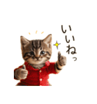 毎日のふわふわ子猫【日常・敬語】（個別スタンプ：21）