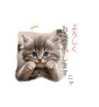 毎日のふわふわ子猫【日常・敬語】（個別スタンプ：22）