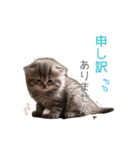 毎日のふわふわ子猫【日常・敬語】（個別スタンプ：24）
