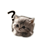 毎日のふわふわ子猫【日常・敬語】（個別スタンプ：25）